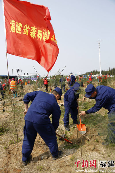 圖為森林消防員參加植樹活動(dòng)。