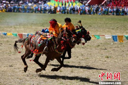 資料圖為青海玉樹賽馬會?！×_云鵬 攝