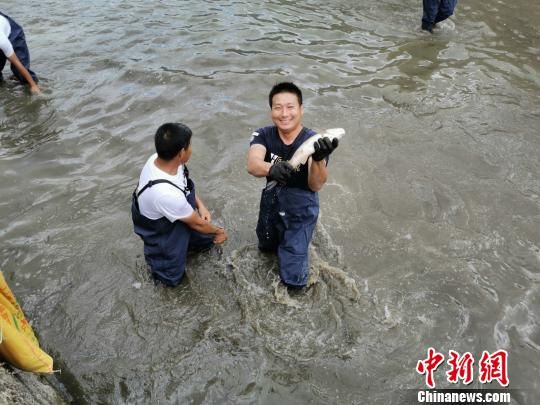 　　22日，2019羅源·中房健身休閑旅游豐收節(jié)暨古鎮(zhèn)探寶活動在羅源縣中房鎮(zhèn)舉行。圖為趣味水中摸魚比賽現(xiàn)場。　俞洪標 攝